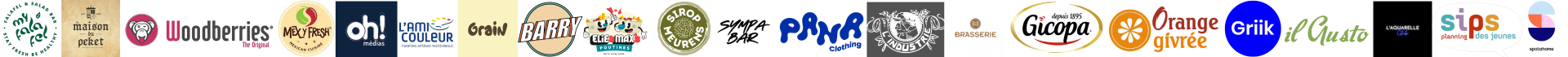 Sponsor 1